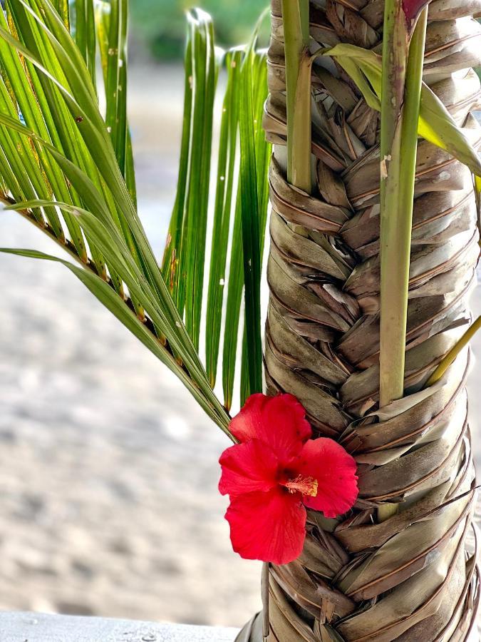 Coco Beach Resort Port Vila Bagian luar foto